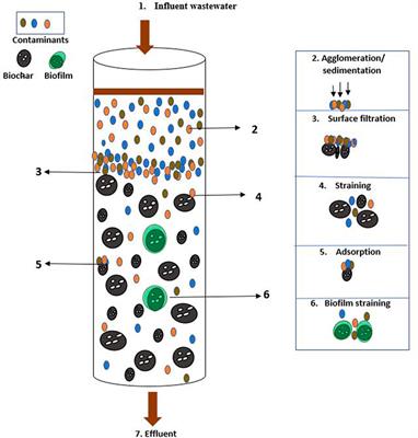 Biochar as a novel technology for treatment of onsite domestic wastewater: A critical review